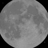 10155875
