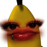 14351713
