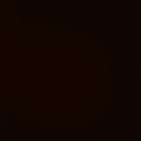 16770630