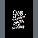 16856333