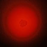 21266379