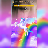 24571639