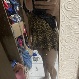 31246732