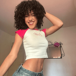 33828241